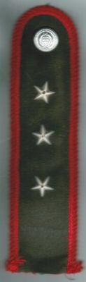 HUNGARY Bacs-Kiskun County Captain Epaulet
