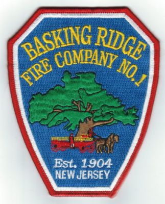 Basking Ridge (NJ)
