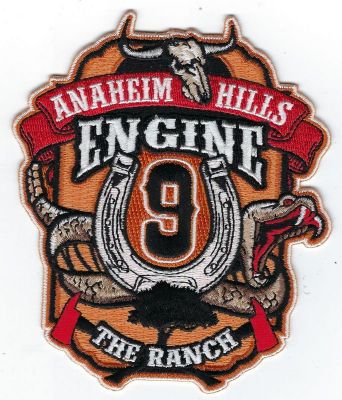 CALIFORNIA  Anaheim E-9
This patch is for trade
