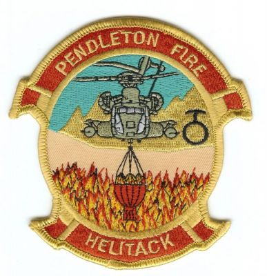 CALIFORNIA Camp Pendleton USMC Helitack
This patch is for trade
