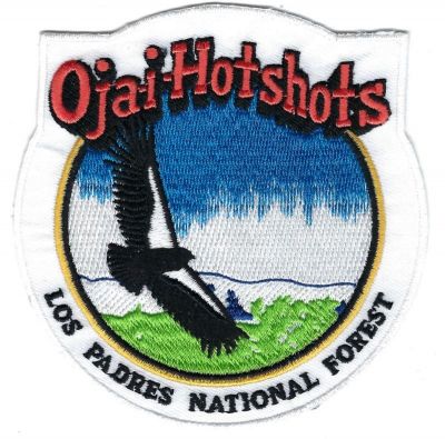 CALIFORNIA Los Padres National Forest Ojai Hotshots
This patch is for trade
