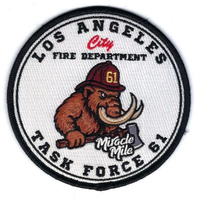 Los Angeles City Station 61 Task Force 61 (CA)
