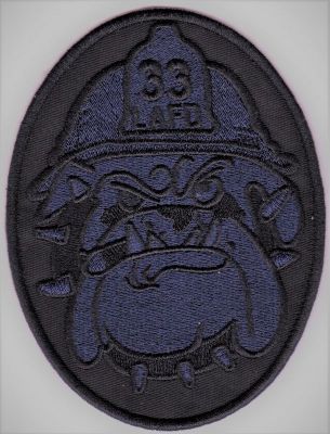 Los Angeles City Task Force 33 (CA)
