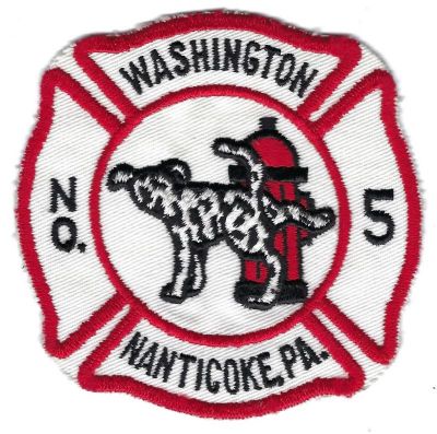 Nanticoke Station 5 Washington (PA)
