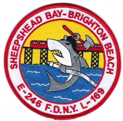 New York E-246 L-169 (NY)
