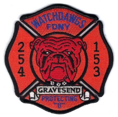 New York E-254 L-153 (NY)
