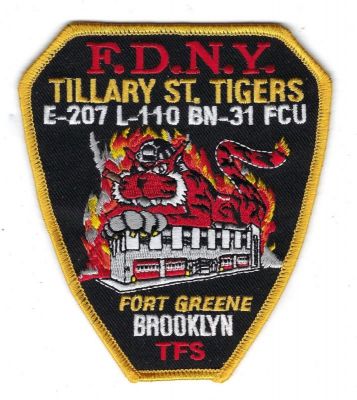 New York E-207 L-110 B-31 (NY)
