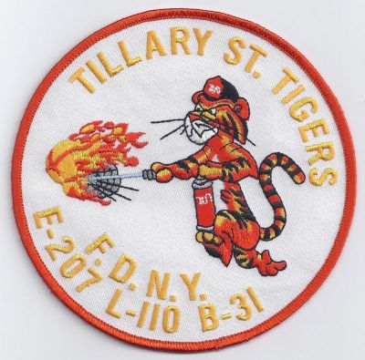 New York E-207 L-110 B-31 (NY)
