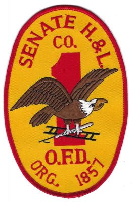 Ossining - Senate Hook & Ladder Company 1 (NY)
