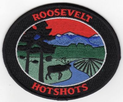 Roosevelt Hotshots (CO)
