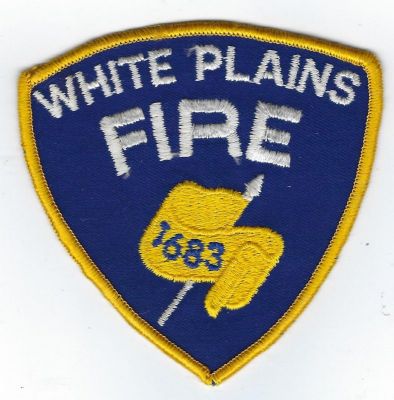 White Plains (NY)
Older Version
