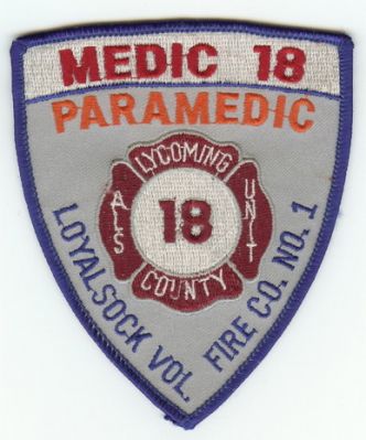 Loyalsock Paramedic (PA)
Older Version

