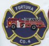 CALIFORNIA_Fortuna_Company_4.jpg