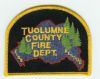 CALIFORNIA_Tuolumne_County_Type_2.jpg