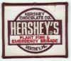 Hershey_s_Chocolate_Plant_Type_2.jpg