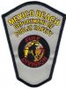 Mexico_Beach_DPS_Fire_Division.jpg