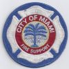 Miami_Type_6_Fire_Support.jpg