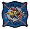 New_York_-_FDNY_E-240.jpg