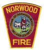 Norwood_Type_2.jpg