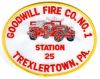 Trexlertown_-_Goodwill_FC_1.jpg