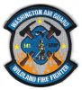 Washington_Air_National_Guard_141_Air_Refueling_Wing_Wildland_Fire_Fighter.jpg