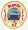 Wildwood_Type_1.jpg