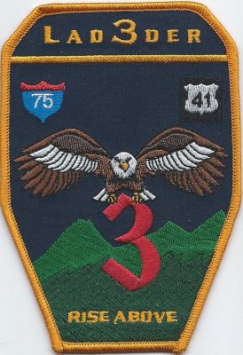 dalton fire dept - company 3 - whitfield county ( GA ) 
station 3 - 1601 haig mill lake rd - dalton , georgia
