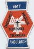 tennessee_state_EMT_28_TN_29_V-6.jpg